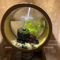 お料理 とみやま - 