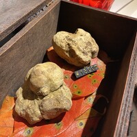 マルゴット エ バッチャーレ - 