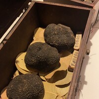 マルゴット エ バッチャーレ - 