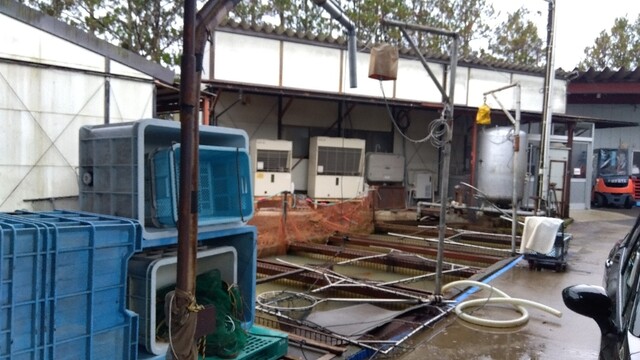 高橋鯉屋 - 羽前成田（惣菜・デリ）の写真