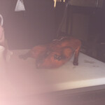 中国料理 翆陽 - 