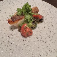 オッジ ダルマット 西麻布店 - 