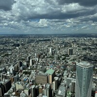 サンシャイン クルーズ・クルーズ - 