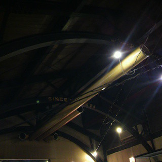 コットンドール_2