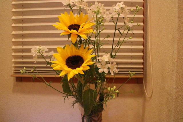 Washoku An Sara photo 5