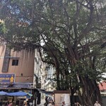 KEDAI MAKANAN FAZLINA MAJU - 大きな木が日除けになって涼しいです！