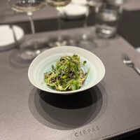 CIRPAS - 