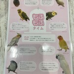 ことりカフェ - 