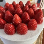 創作料理Ryota  - 