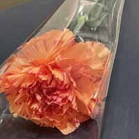 ダイニング フェリオ - 