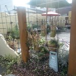 PLUS-1  CAFE  GARDEN - 