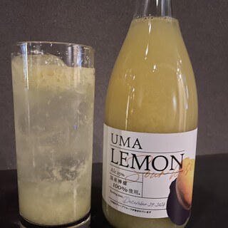 国産レモンの贅沢なレモンサワー◎日本酒や国産クラフトビールも