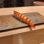 鮨かしわ - 車海老