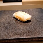 島津 - アオリイカ