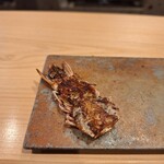 鮨かしわ - 海老の頭