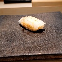 島津 - アオリイカ