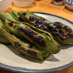 地下酒場 亜時戸 - 