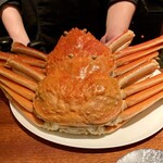 蒼 - リゾット用ずわい蟹