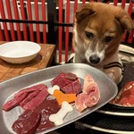 片面炙り焼肉 じゅう兵衛 GOKINJO - 