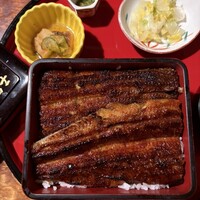炭焼 うな富士 天白別邸 - 