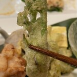 和彩 嘉司郎 - タラの芽