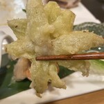 和彩 嘉司郎 - 蕗の薹