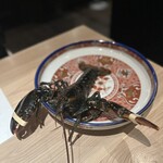 隠れ家鉄板おぶ - オマール海老