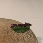 Installation Table ENSO L'asymetrie du calme - 