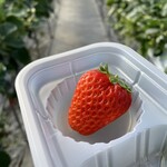 あかまつ農園 - 