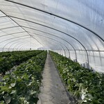 あかまつ農園 - 