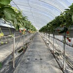 あかまつ農園 - 