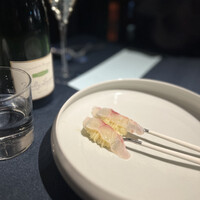 セルサルサーレ - 