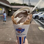 ハイウェイカフェ - 料理写真:ソフトクリーム（ミックス／ワッフルコーン）