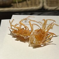 天七 - 