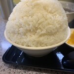 旭川ラーメン天山 北40条店 - 