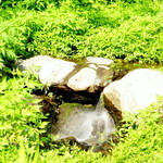 未在 - 円山公園