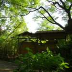 未在 - 階段と上がって、ふと見上げると未在さんが目に入ります。