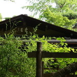 未在 - 緑に包まれています。