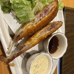 のぼせもん - 大アジフライ