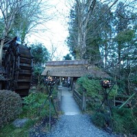 黒茶屋 - 