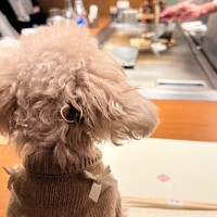 千房ADVANCE 広尾店 - 