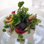 レフェルヴェソンス - 