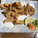 鳥光 - 