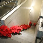 ラール・エ・ラ・マニエール - 道路脇にある、お店の入り口への階段。