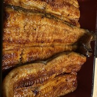 うなぎ割烹 白金台 まつ本 - 