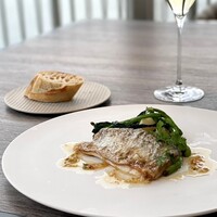 THE HARBOR TERRACE Restaurant - 