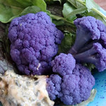 雨読舎 - 美瑛豚の角煮丼900円（季節の野菜サラダ、味噌汁付）