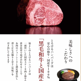 とろけるハンバーグ福よし_2
