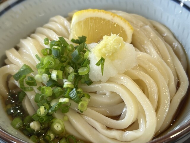 うどん山笑う - 木戸（うどん）の写真