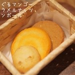 アントステラ - 